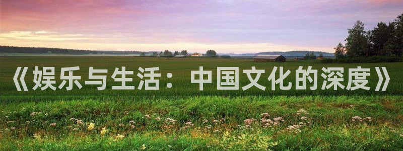 bb电子官网登录：《娱乐与生活：中国文化的深度》