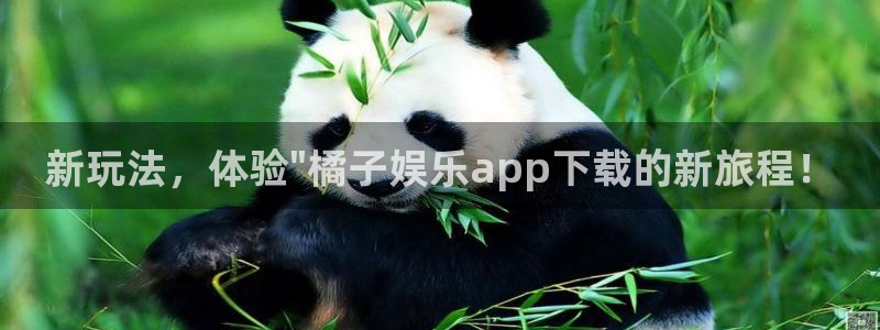 bb电子哪个平台好：新玩法，体验\